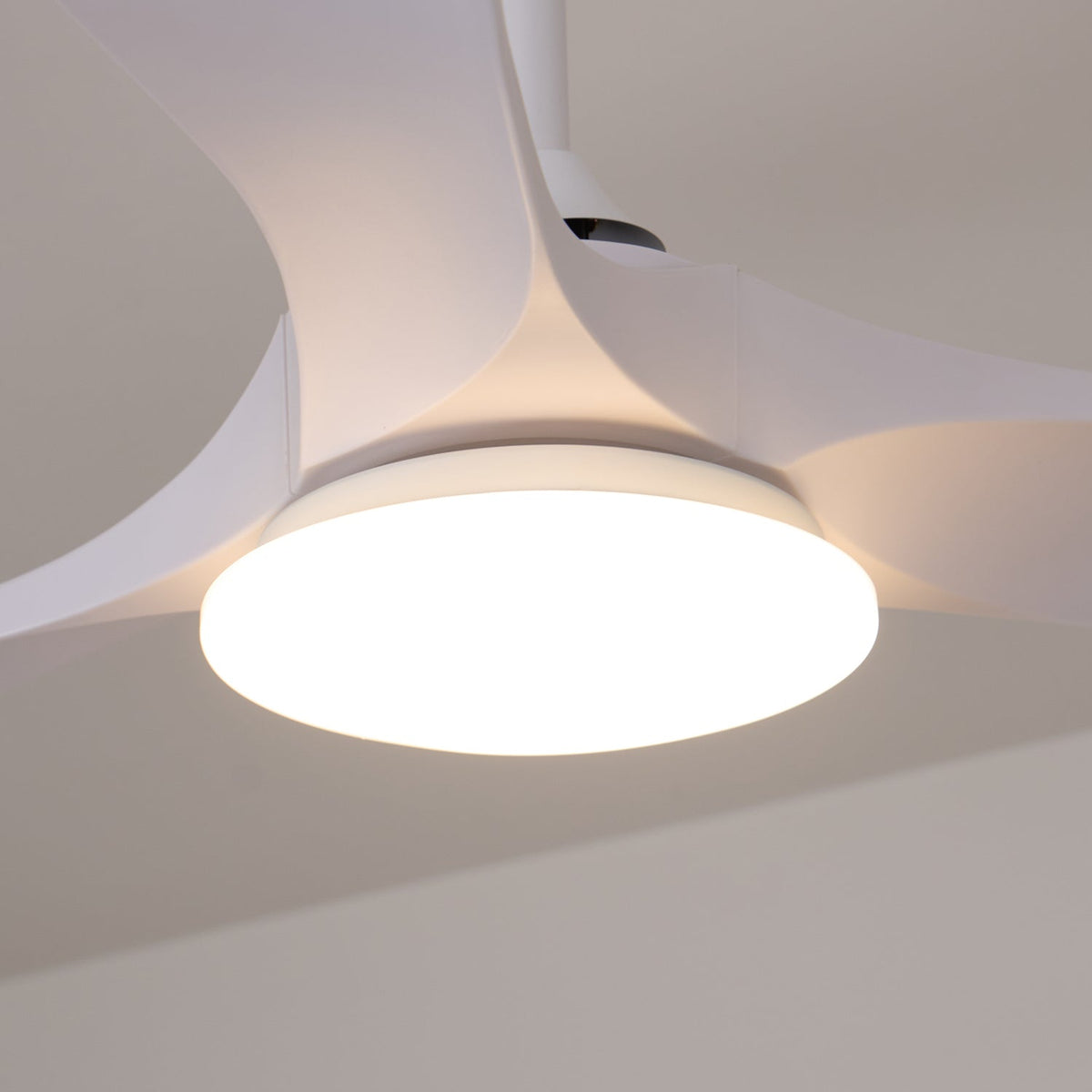 Virelo Ceiling Fan Light with LED – 42" & 52" Wood Grain Blades