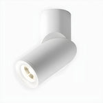 Maxwell Pivot Surface Downlight – Modern LED Ceiling Spotlight