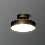 Meridian Rotatable LED Ceiling Light in Brass and Acrylic