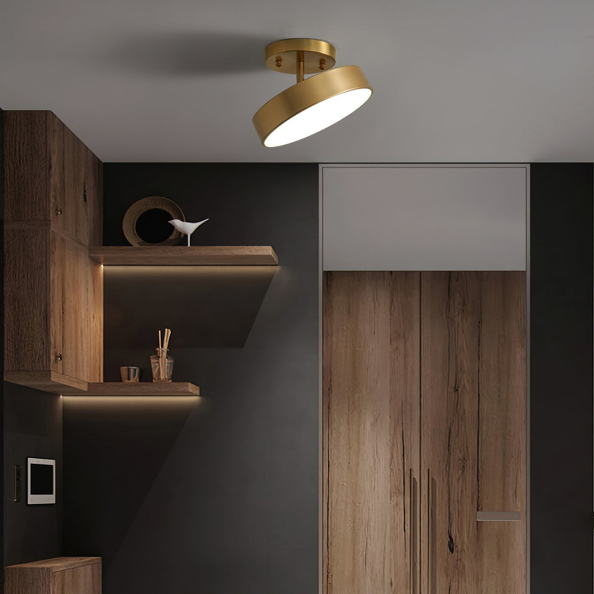 Meridian Rotatable LED Ceiling Light in Brass and Acrylic