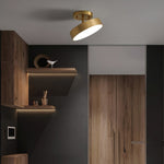 Meridian Rotatable LED Ceiling Light in Brass and Acrylic