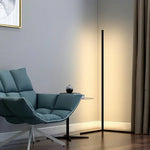 High End Full Spectrum Ceiling Lamp