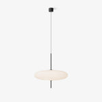 Model 2065 Pendant Lamp
