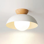 Semi Flush Ceiling Light Modern