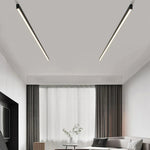 Modern Minimalist Ceiling Lamp