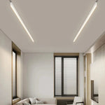 Modern Minimalist Ceiling Lamp