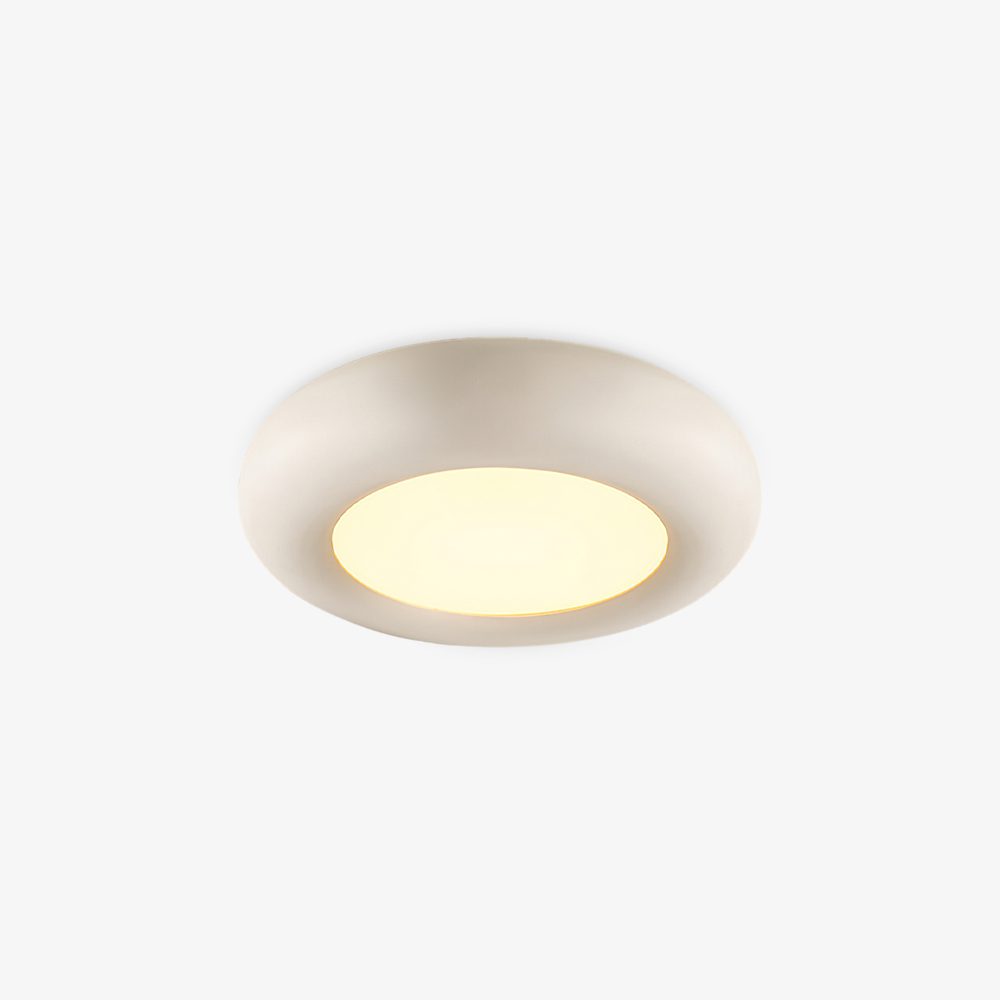 Modern Oval Ceiling Light