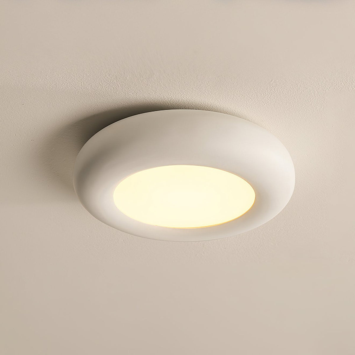 Modern Oval Ceiling Light