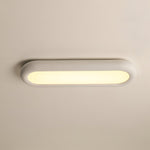 Modern Oval Ceiling Light