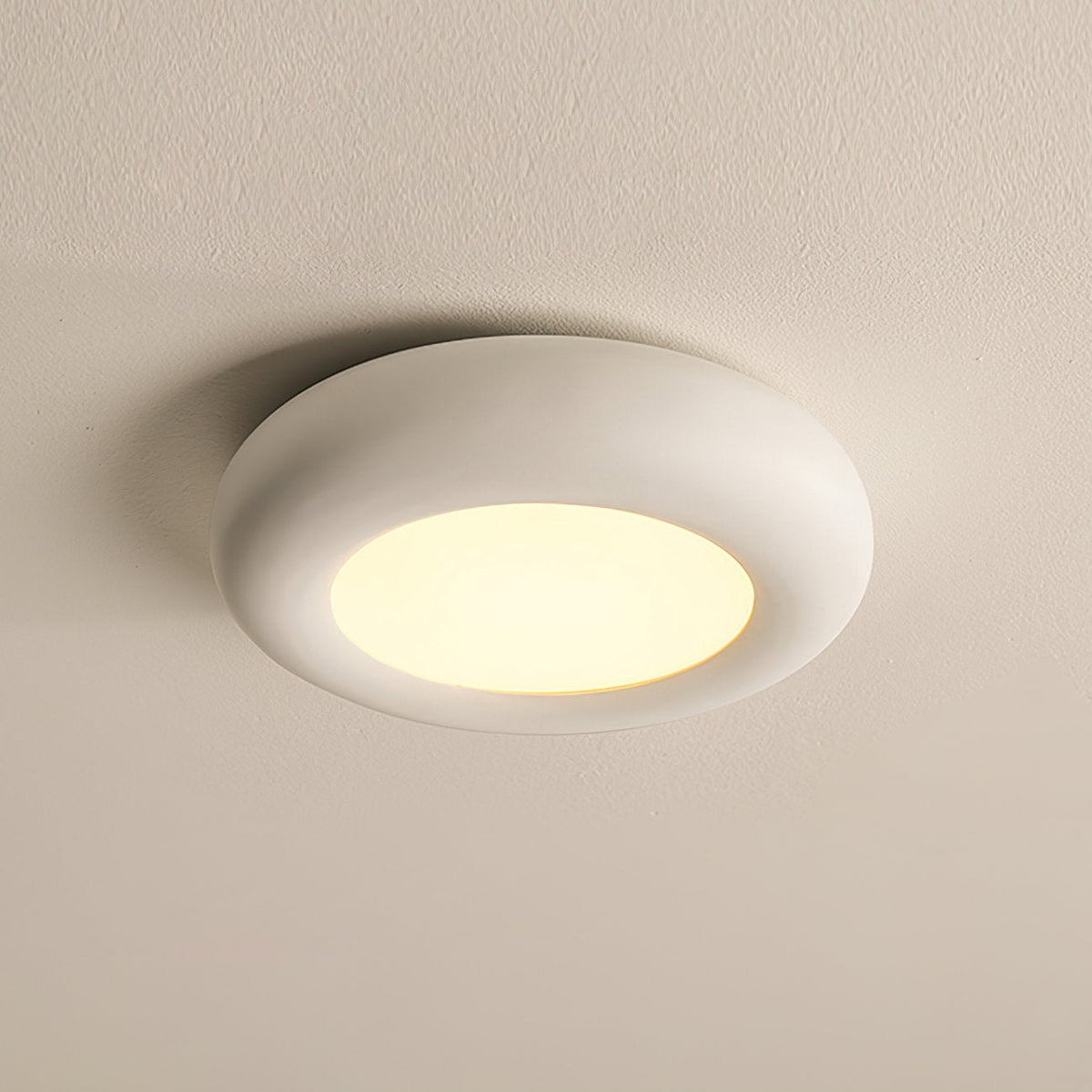 Modern Oval Ceiling Light