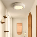 Modern Oval Ceiling Light