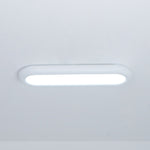 Modern Oval Ceiling Light