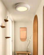 Modern Oval Ceiling Light