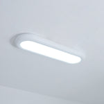 Modern Oval Ceiling Light