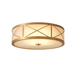 montpelier-ceiling-light