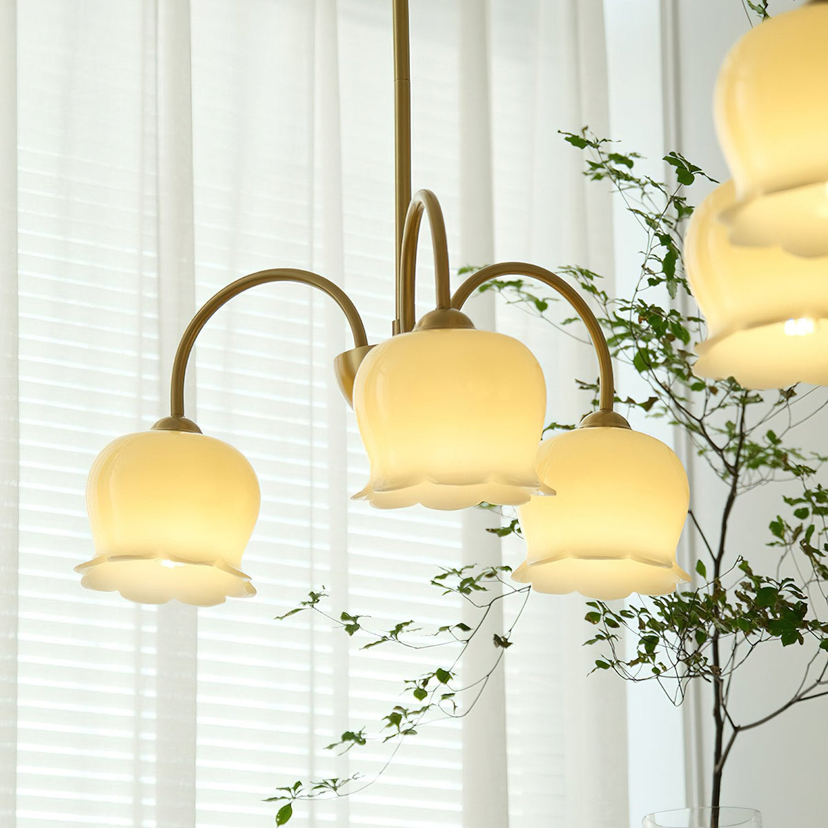 Morup Chandelier