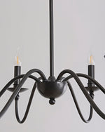 mrhyswd-black-chandelier