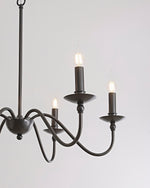 mrhyswd-black-chandelier
