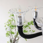 Black Iron Candle Chandelier with Clear Glass Shades for Dining Room and Living Room