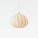 Murano Pendant Lamp