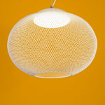 Metallic Meshwork Pendant Lamp