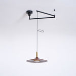 Crane Swing Arm Pendant Light – Modern LED Pendant Lamp with Brass Accents