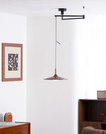 Crane Swing Arm Pendant Light – Modern LED Pendant Lamp with Brass Accents