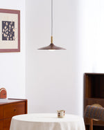 Crane Swing Arm Pendant Light – Modern LED Pendant Lamp with Brass Accents