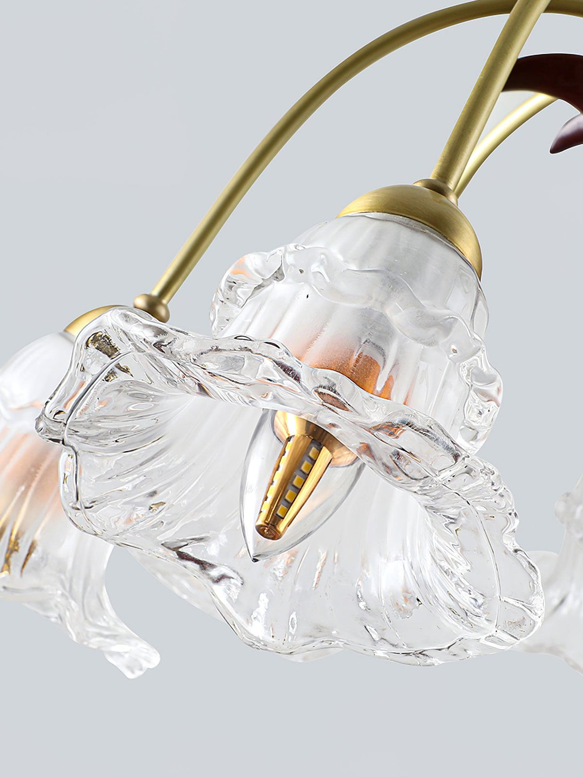 narcissus-glass-chandelier