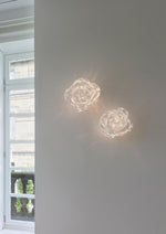 Nebula Bloom Sculptural Wall Sconce in Stainless Steel