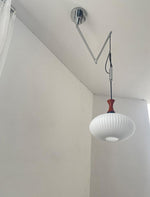 nelson-suspend