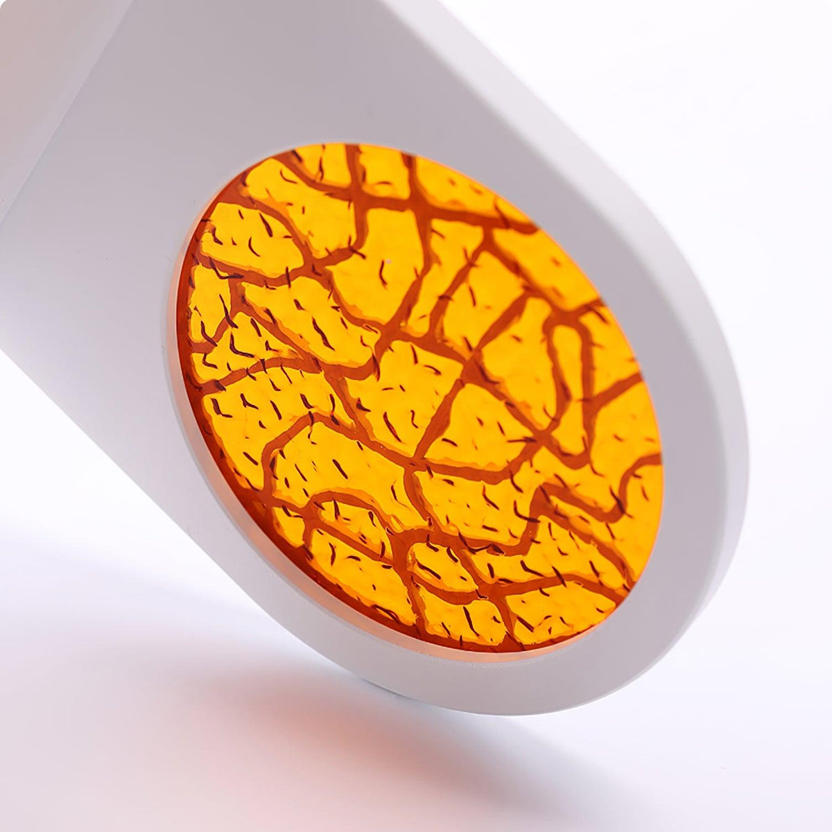 Nights Led Sconce