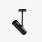 Norano Modern LED Ceiling Light in Black or White
