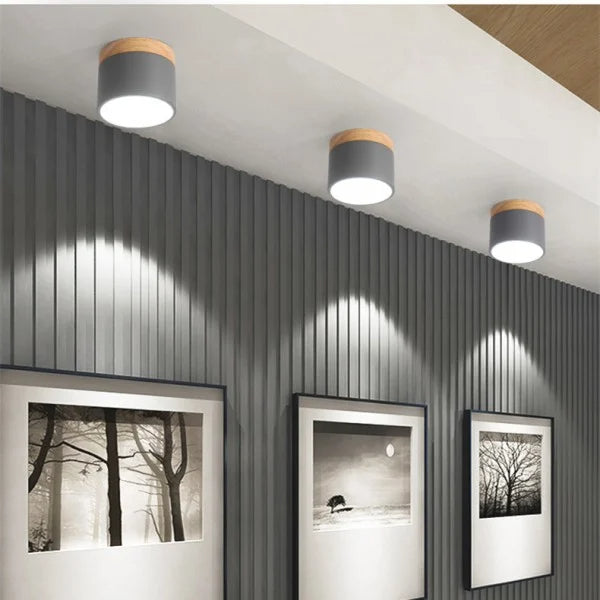 Nordic Simple Cylinder Led Ceiling Light