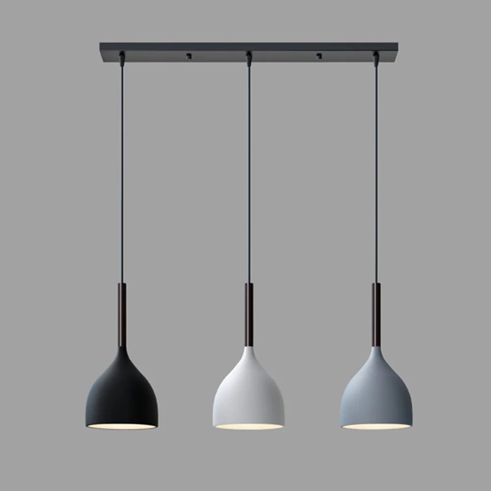 Baking Paint Iron Pendant Light
