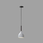 Baking Paint Iron Pendant Light
