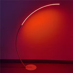 Source Cross Border C Type Phishing Floor Lamp