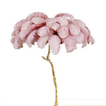 Ins Style Feather Decorated Floor Lamp