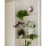 onyx-krema-wall-lamp