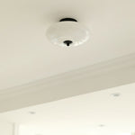 Opal Ceiling Lamp