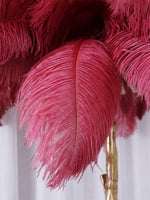 Ostrich Feather Floor Lamp