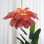 ostrich-feather-chandelier