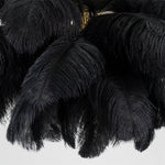 ostrich-feather-chandelier