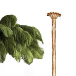 ostrich-feather-chandelier