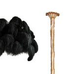 ostrich-feather-chandelier