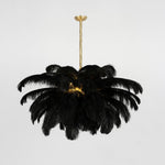 Ostrich Feather Pendant Lamp