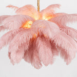 Ostrich Feather Pendant Lamp