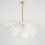 Ostrich Feather Pendant Lamp