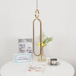 Led Oval Linear Pendant Light