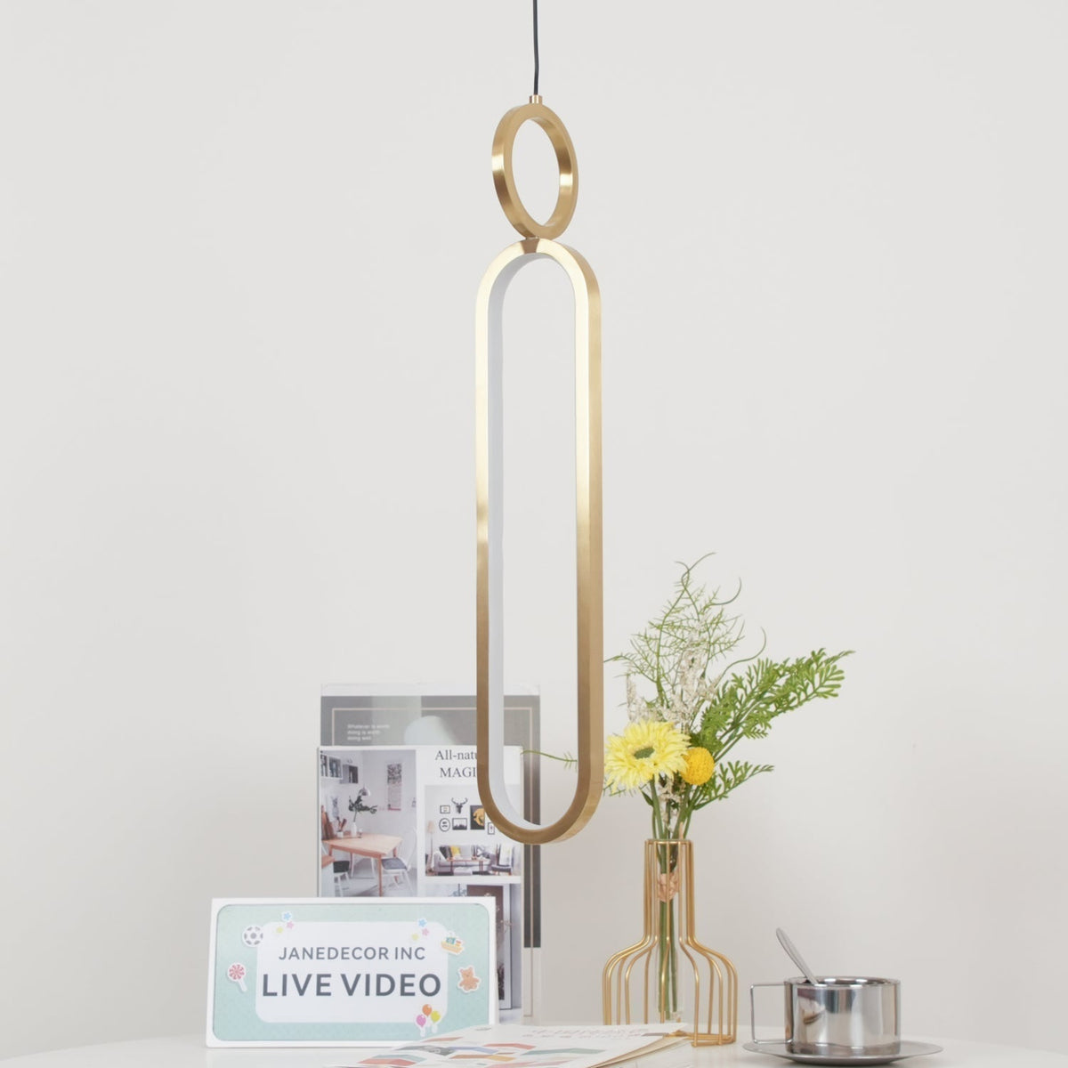 Led Oval Linear Pendant Light